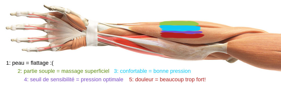 L'objectif de la massothérapeute est d'atteindre la partie tendue et idéalement votre seuil de sensibilité. Sans le dépasser.